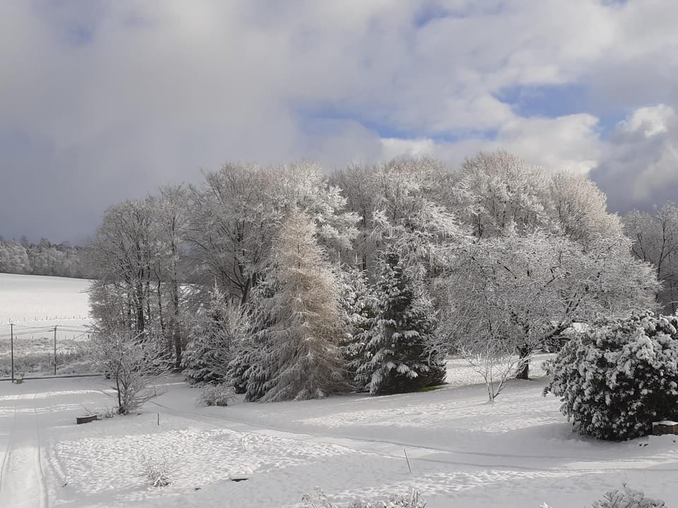 Chez Papy Bed and Breakfast in Vosges
