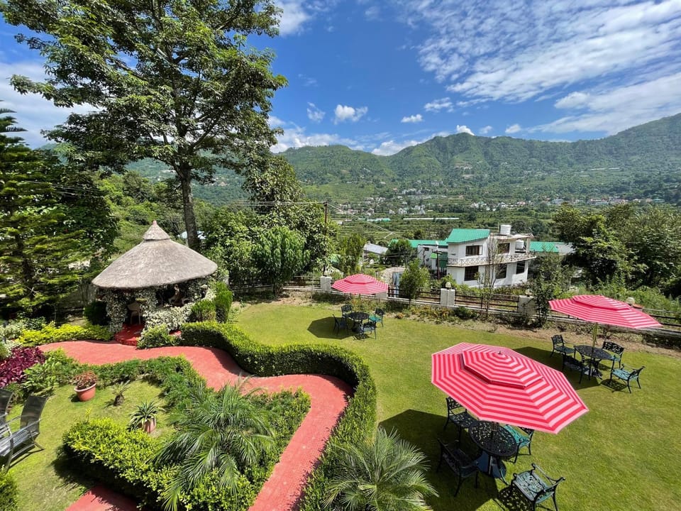Garden view