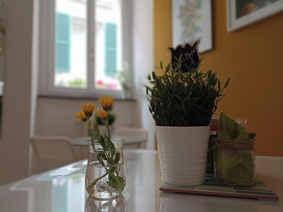 B&B Bel Fiore Bed and Breakfast in Marche