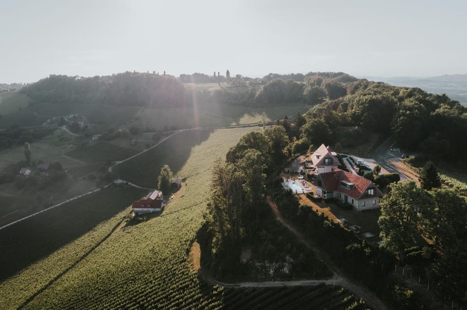 Winzarei Ciringa Menhard Bed and Breakfast in Slovenia