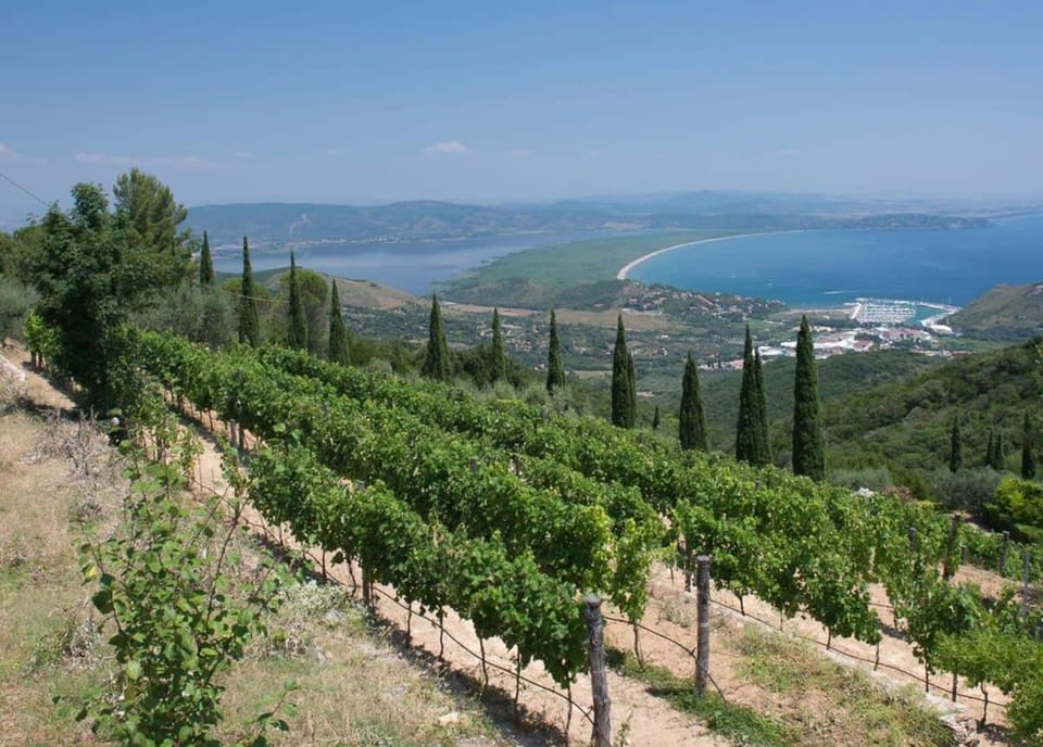 Natural landscape, Sea view