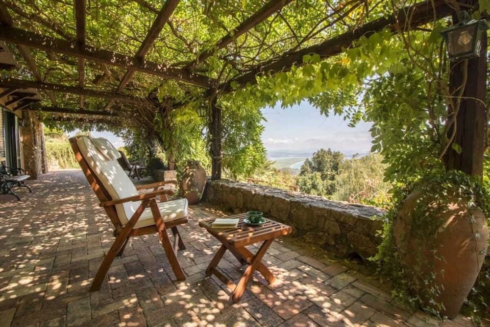Patio, Natural landscape, Garden, Balcony/Terrace, Garden view