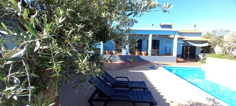 Day, Pool view, Swimming pool, sunbed
