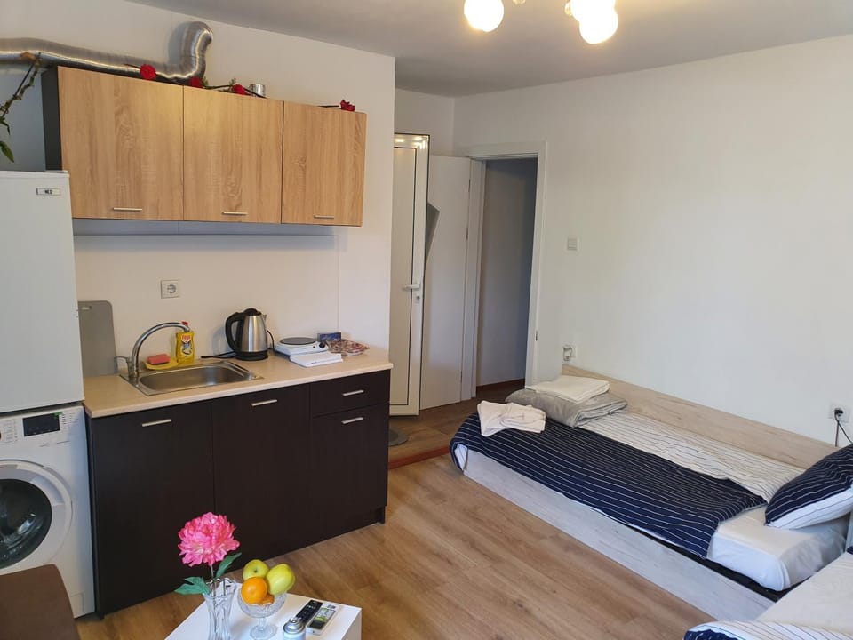 THE CENTER Apartments Comfort 3 Apartment in Blagoevgrad Province