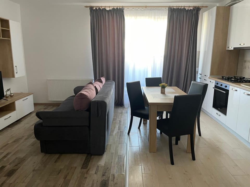 APARTAMENT EMA 11 Apartment in Brasov