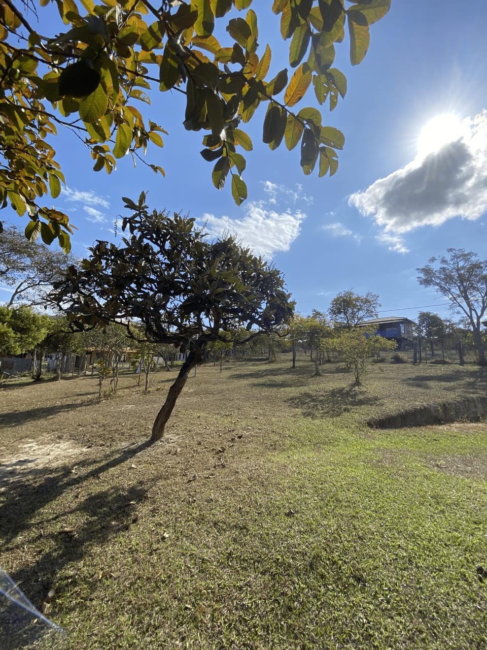 Natural landscape, Garden