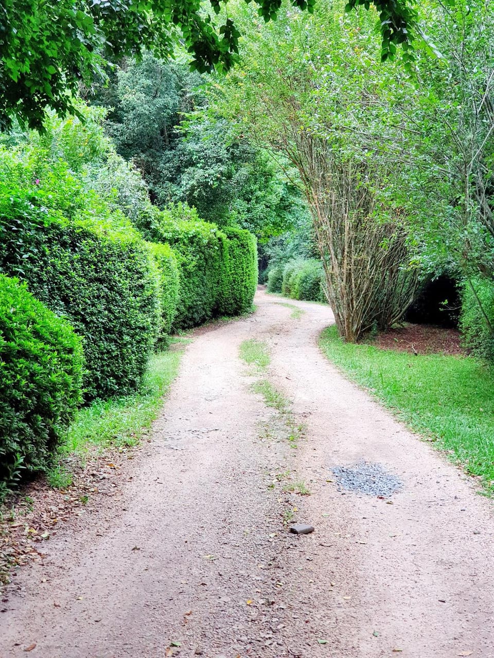 Facade/entrance, Natural landscape, Garden