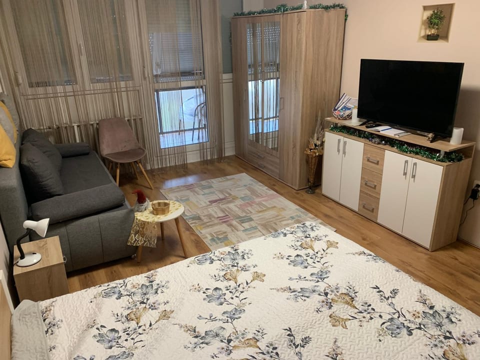 Communal lounge/ TV room, Bed, TV and multimedia, Living room, Photo of the whole room, Seating area, Evening entertainment
