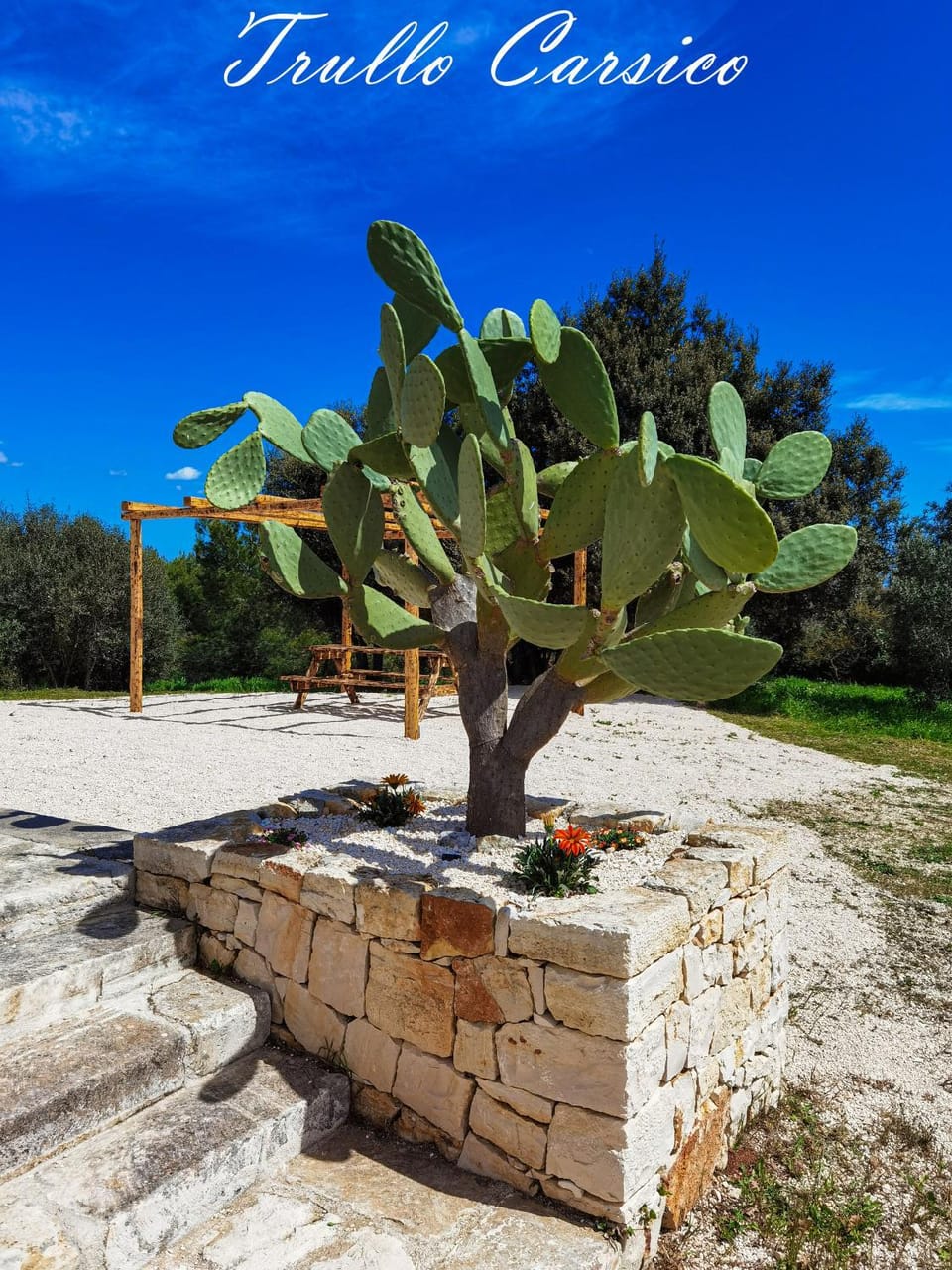Natural landscape, Garden