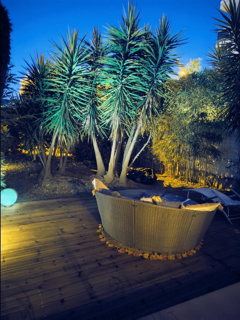 Night, Garden