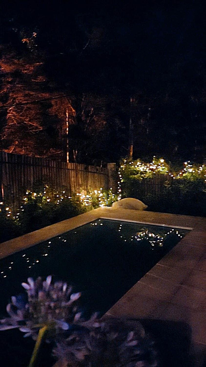 Night, Swimming pool