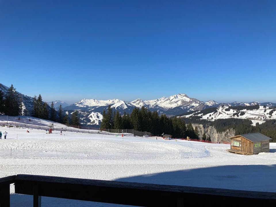 Charmant 2 pièces rénové pour 4 pers, skis aux pieds Apartment in Avoriaz