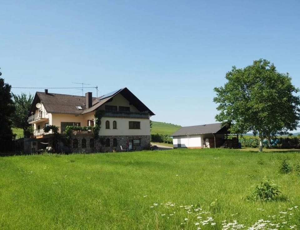 Property building, Natural landscape