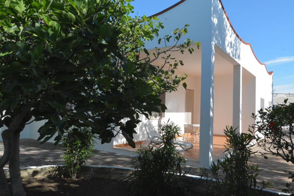 Facade/entrance, Garden