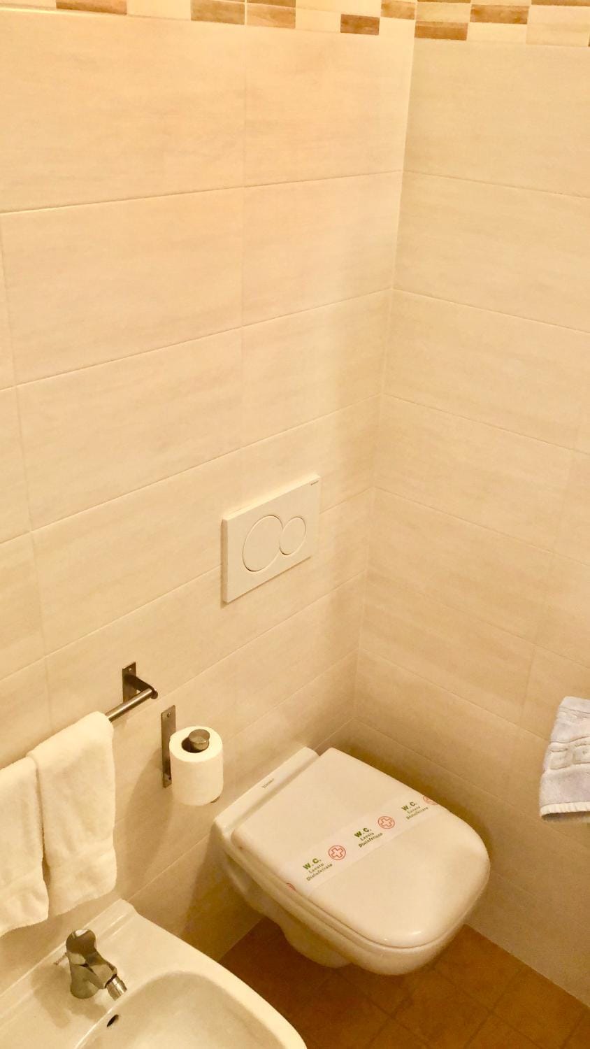 Toilet, Bathroom, bidet