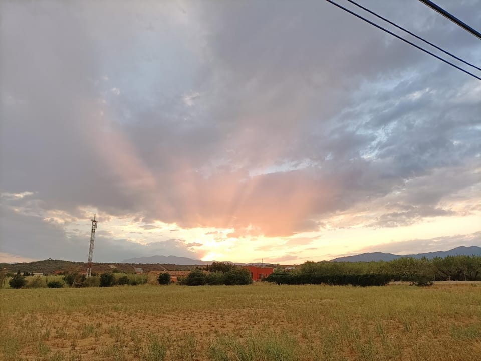 Property building, Natural landscape, Summer, Garden view, Sunset