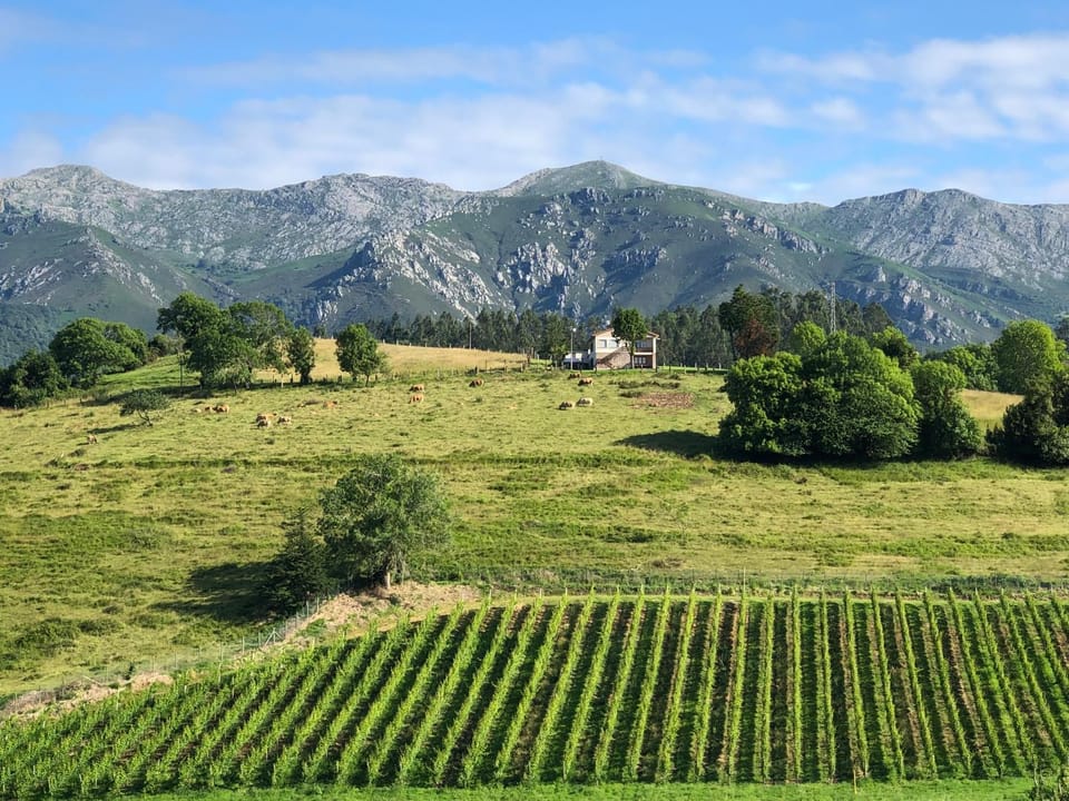 Natural landscape, Mountain view