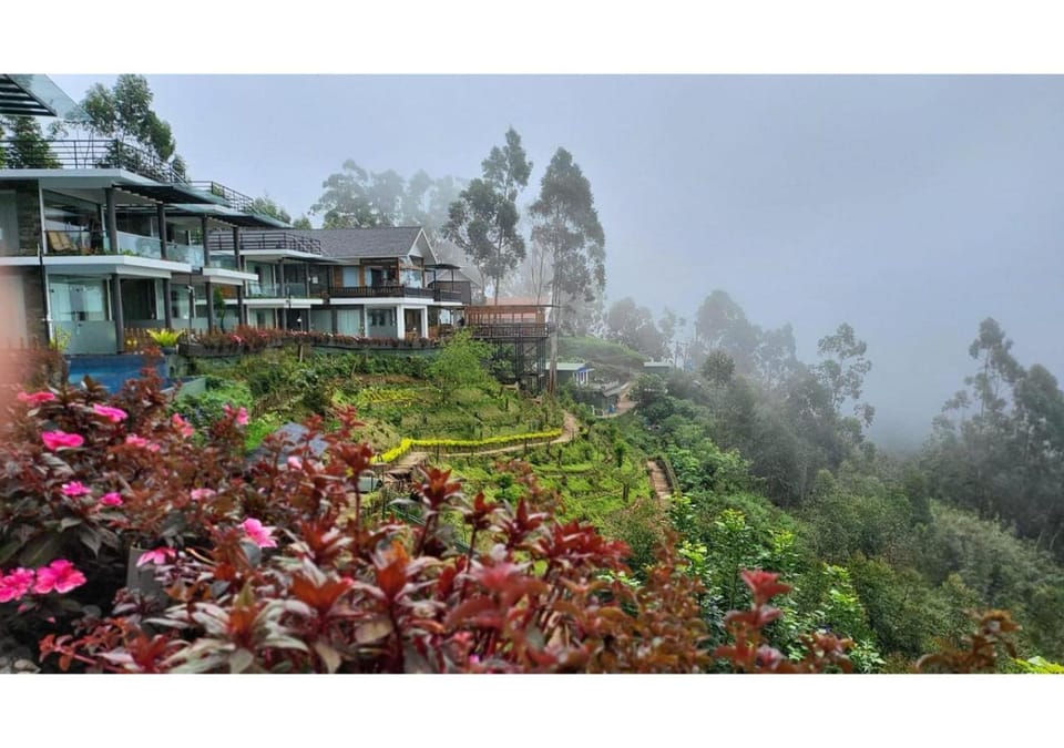 Property building, Garden, View (from property/room), Garden view