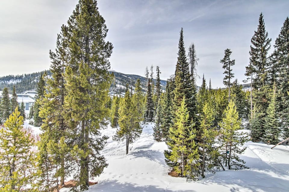 Prismatic Mountain Studio < 1 Mi to Big Sky Resort Apartment in Big Sky