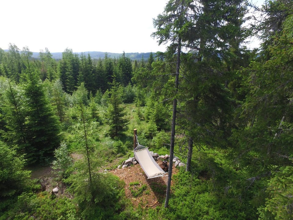 Cozy forest cabin with amazing mountain view Cabin in Sweden