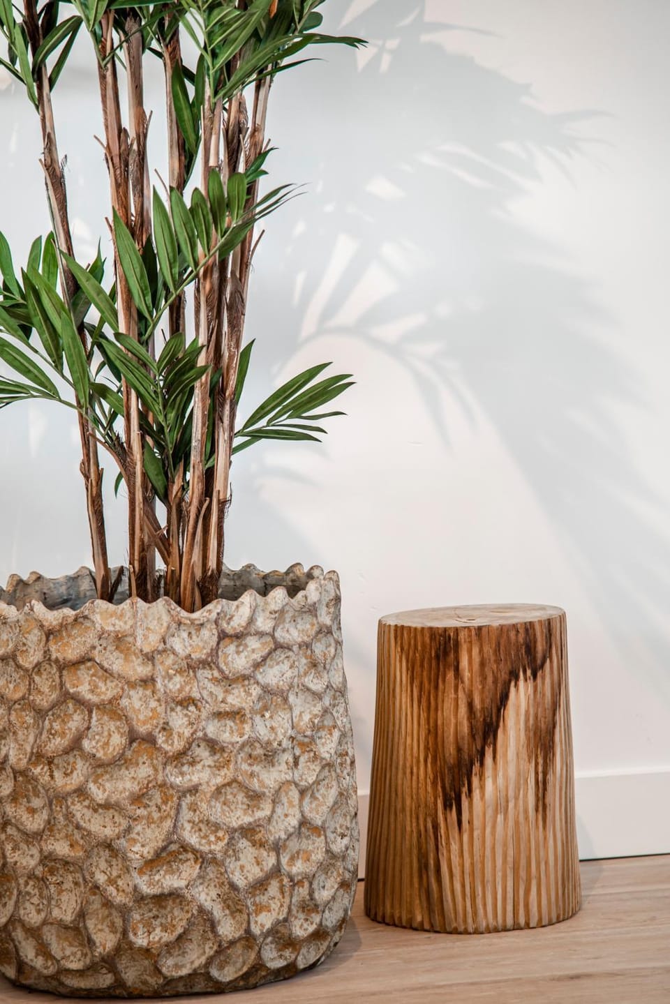 Yucca Beachhouse Apartment in Zandvoort