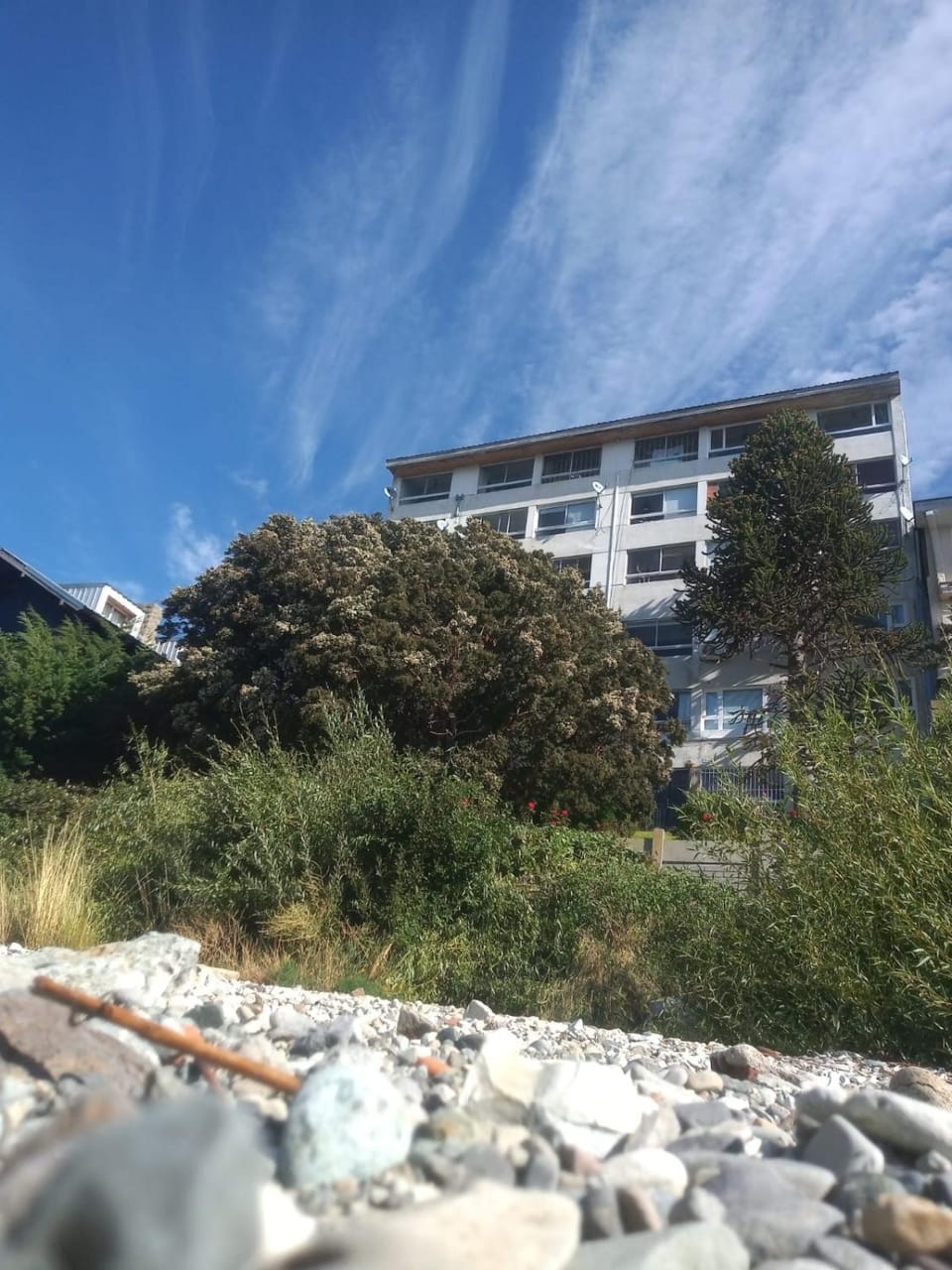 La Generosa Apartment in San Carlos Bariloche