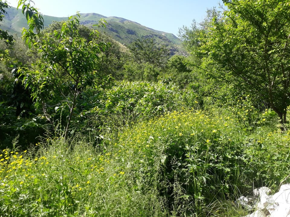 Natural landscape, Hiking, Mountain view