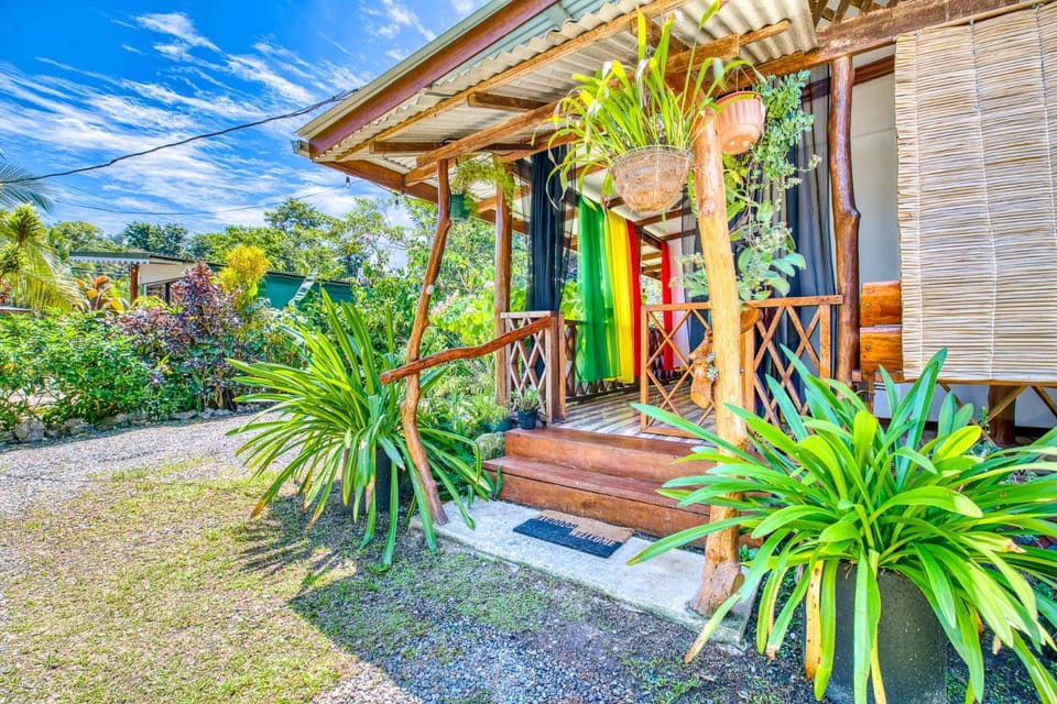 Property building, Garden, Garden view