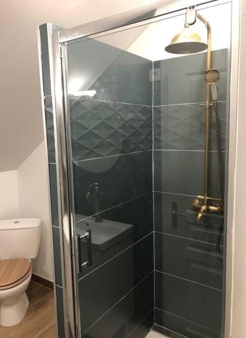 Shower, Toilet, Bathroom