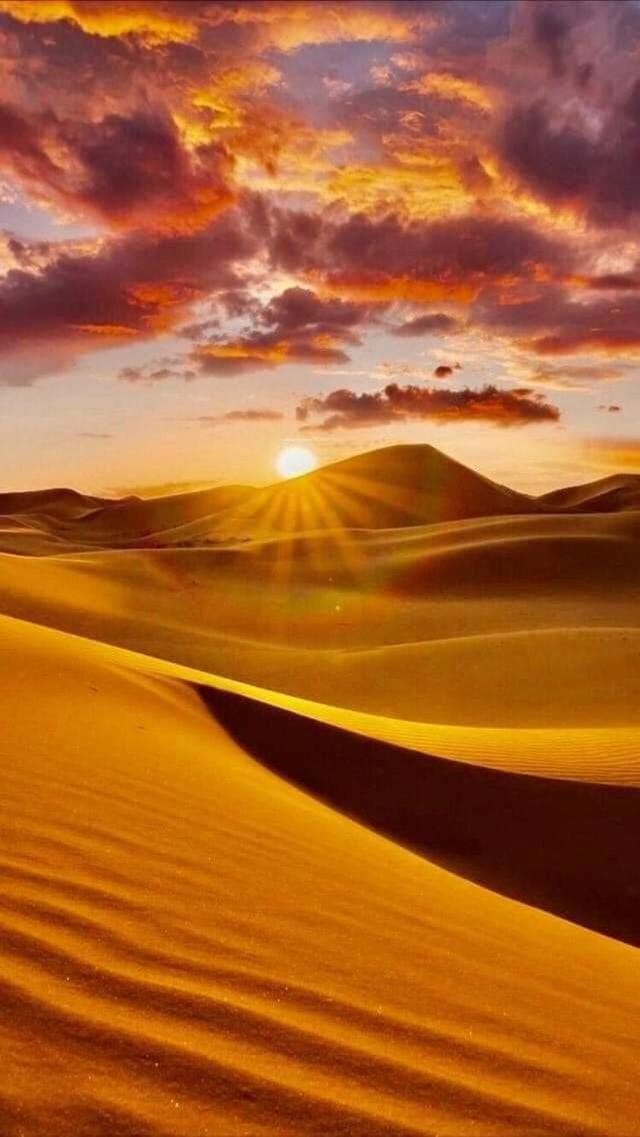 Camel Trekking Camp Bed and Breakfast in Morocco