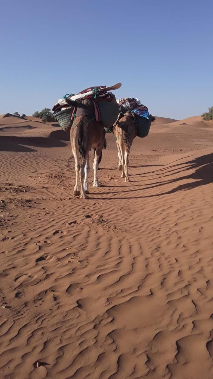 Camel Trekking Camp Bed and Breakfast in Morocco