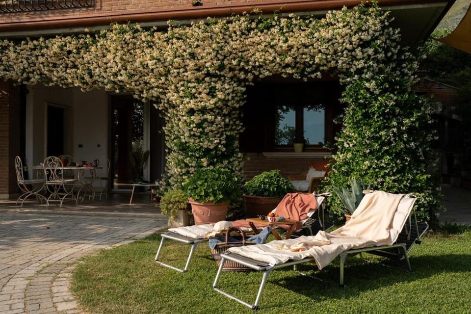 Property building, Patio, Spring, Garden, Garden view, sunbed