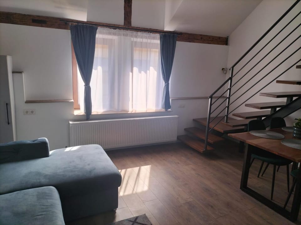 Cozy loft apartament Apartment in Romania