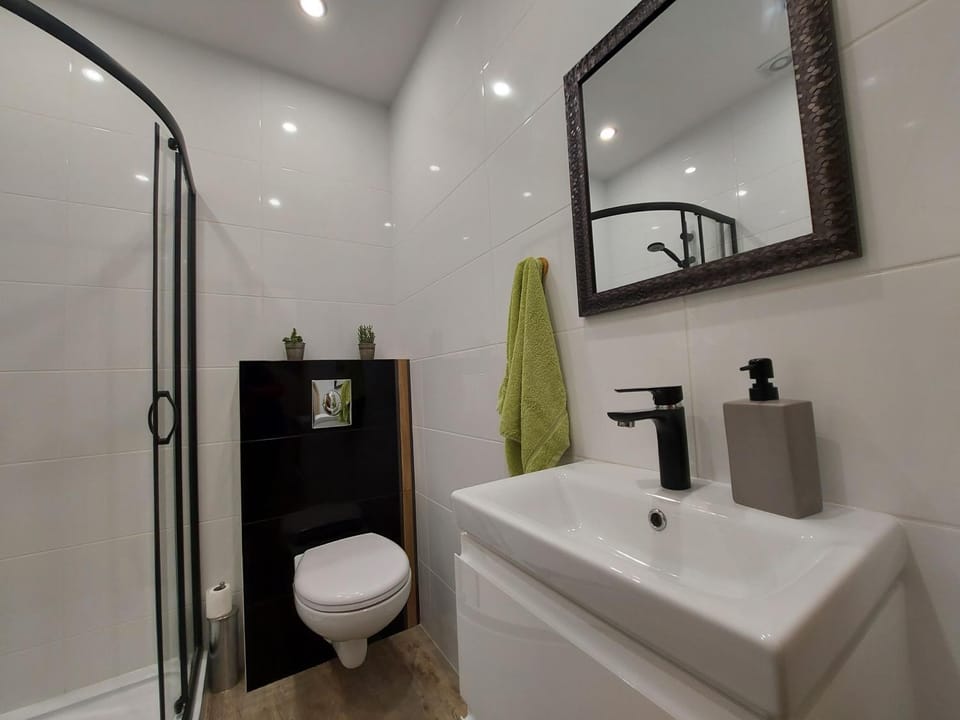 Shower, Toilet, Bathroom, furniture, washing machine