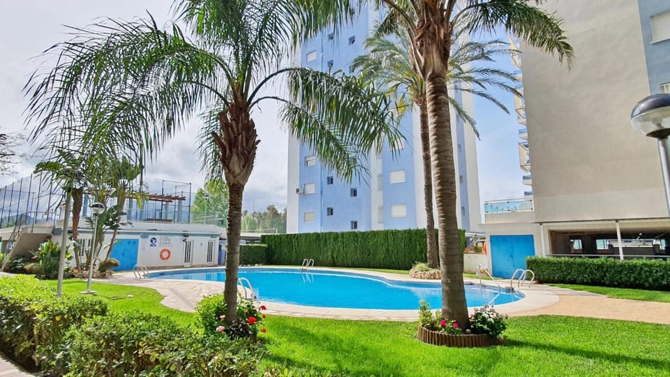Garden, Swimming pool