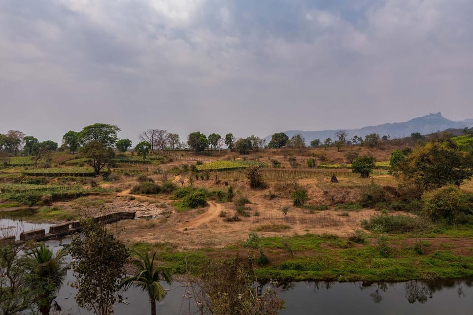 Natural landscape
