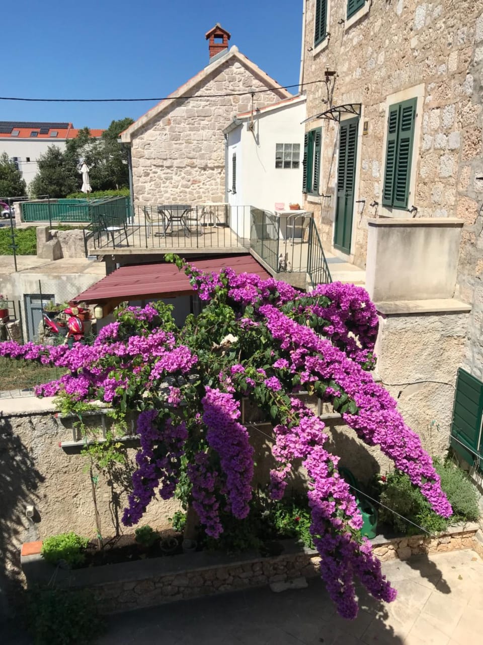 Garden view