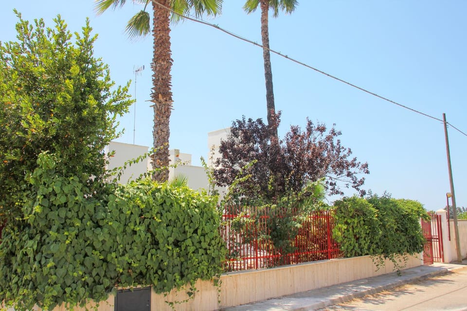 Property building, Garden, Garden view