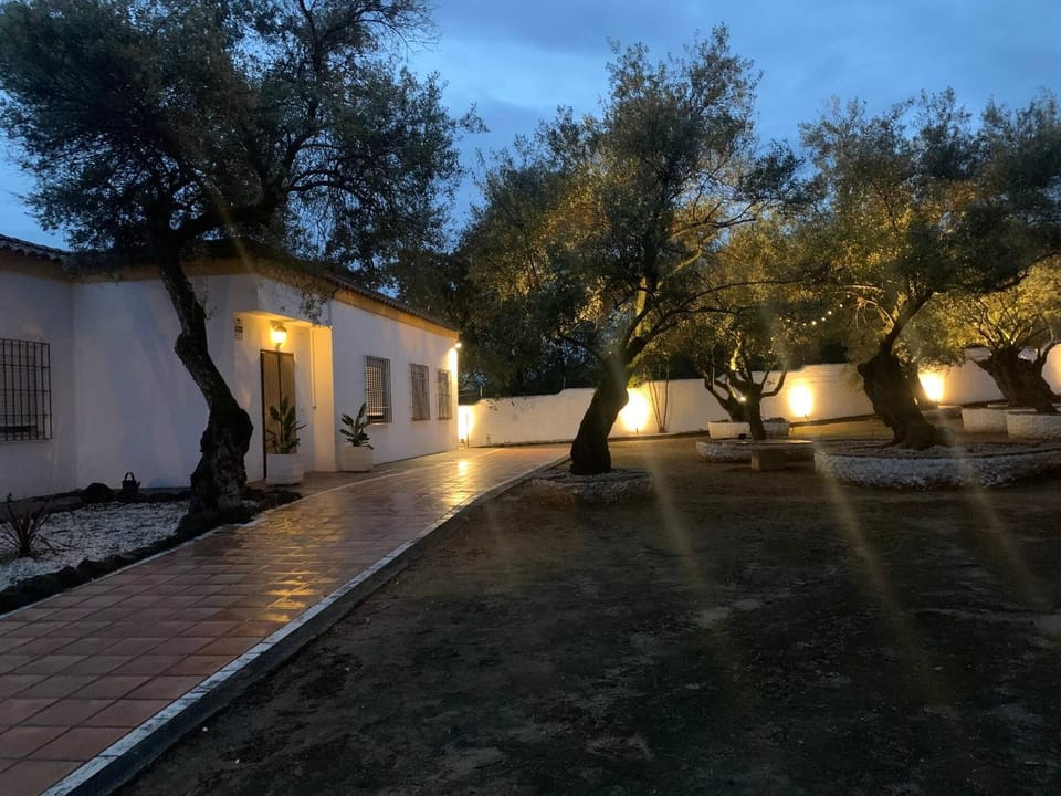 Property building, Other, Garden view