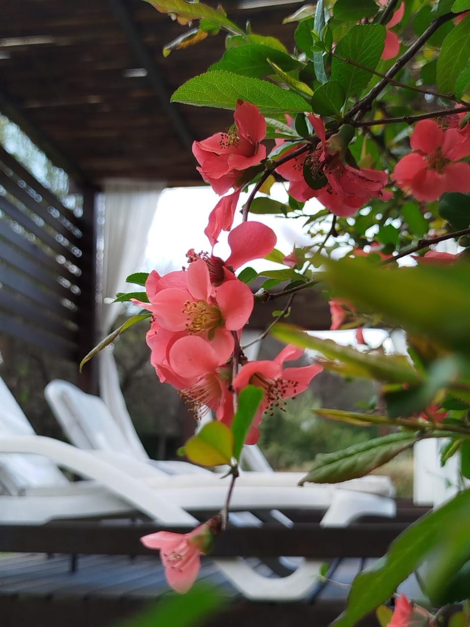 Hotel Boutique Spa & Sushi Posada de Campo-Solo adultos Hotel in Villa General Belgrano