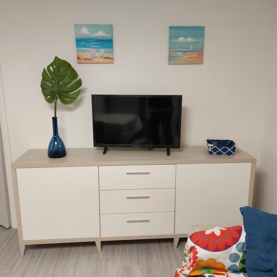 TV and multimedia
