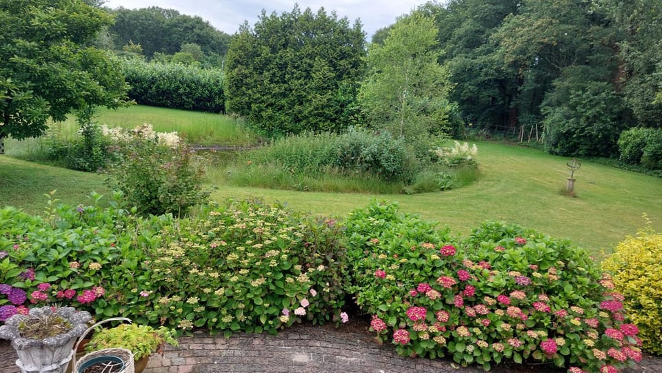 Garden, Garden view