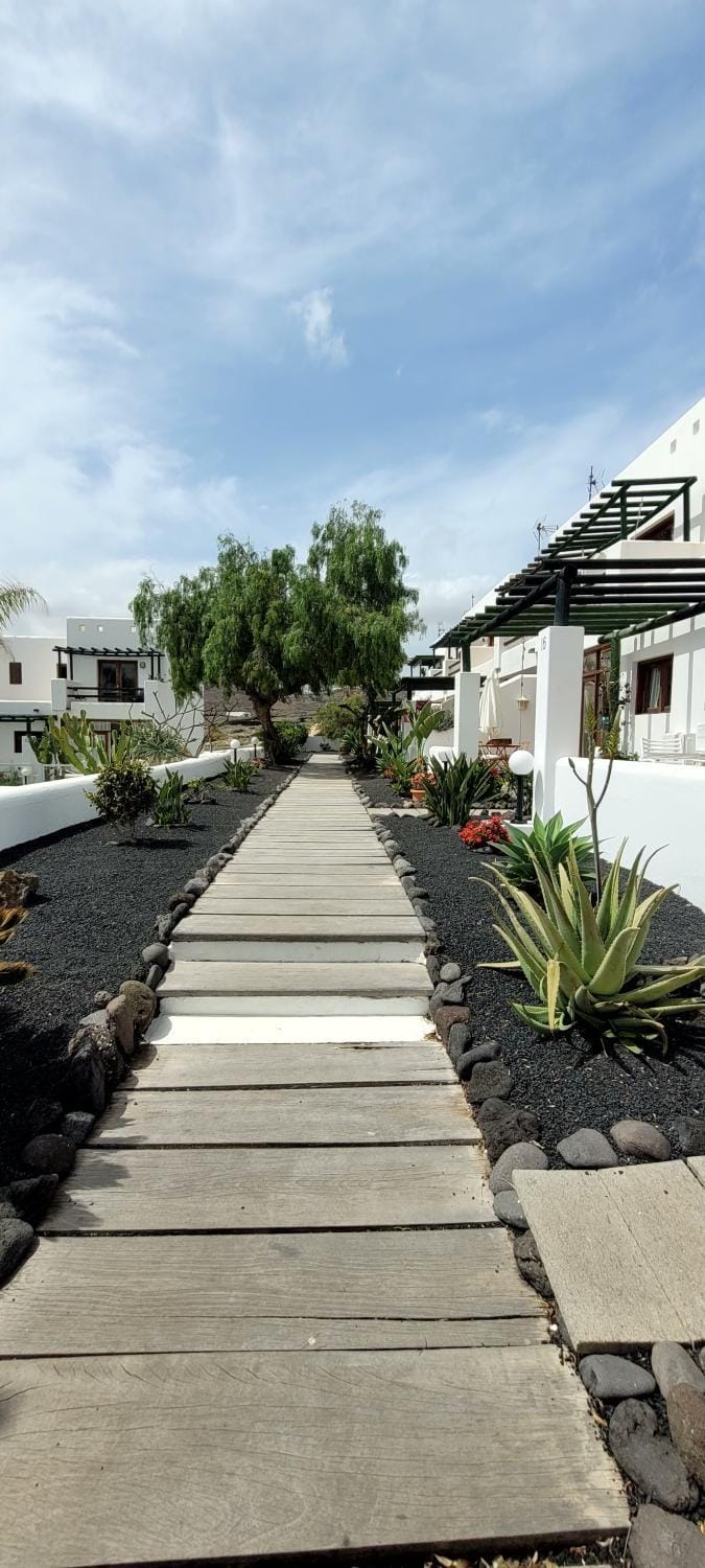 Garden view