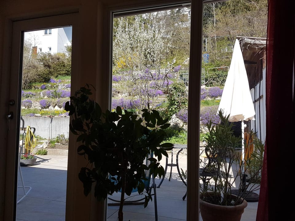Garden view