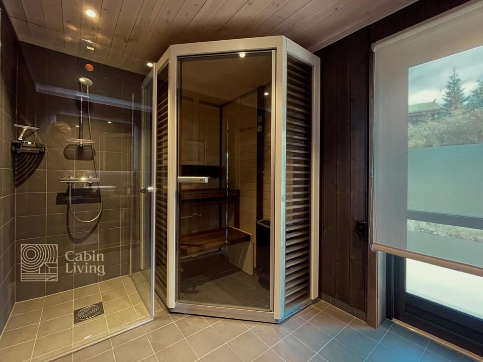 Unique cabin with fantastic lake view, sauna, ski & EV outlet Cabin in Innlandet