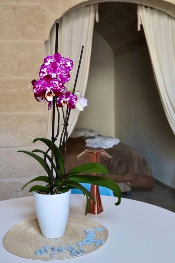 Panta Rei Wellness & Charme Monopoli Apartment in Apulia