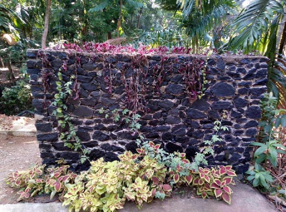 Hotel Yelona Bed and Breakfast in Sri Lanka
