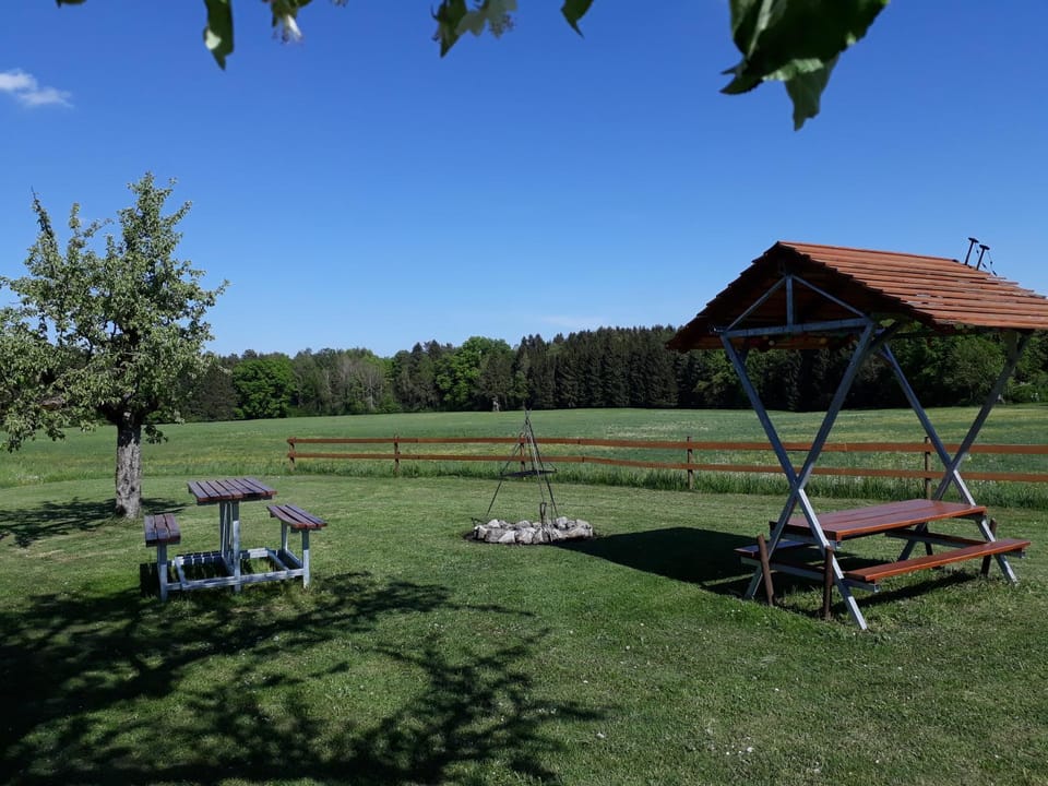 BBQ facilities, Garden, Garden