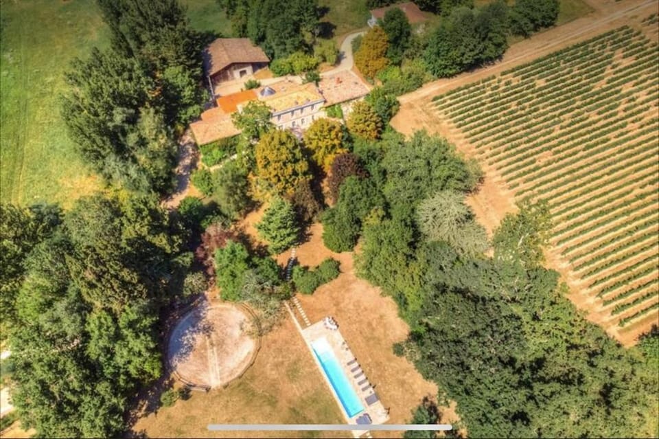 Natural landscape, Bird's eye view, Garden, Garden view, Pool view