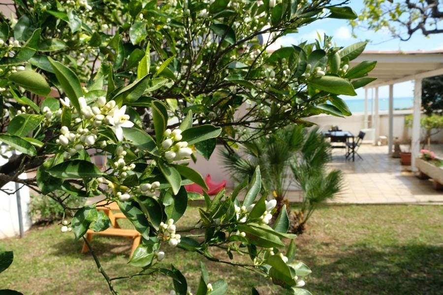 La casa di Lillo Apartment in Marina di Ragusa